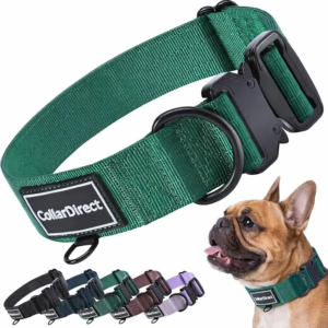 adjustable-nylon-dog-collar
